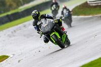 PJ-Motorsport-Photography-2020;anglesey;brands-hatch;cadwell-park;croft;donington-park;enduro-digital-images;event-digital-images;eventdigitalimages;mallory;no-limits;oulton-park;peter-wileman-photography;racing-digital-images;silverstone;snetterton;trackday-digital-images;trackday-photos;vmcc-banbury-run;welsh-2-day-enduro